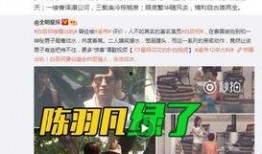 明星生子爆料视频合集下载,独家视频合集深度解析